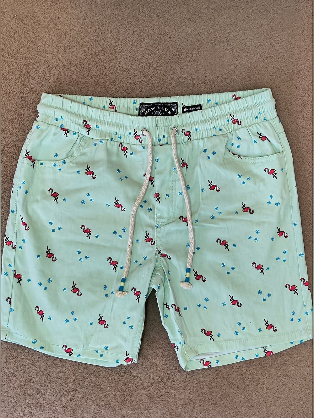 NWOT Men's Flamingo Pale Green Shorts